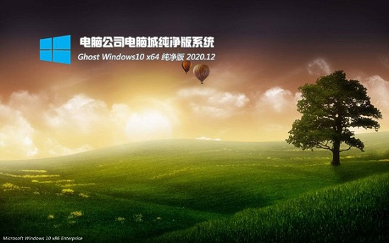 最新台式机专用系统  Windows10 x64 SP1 企业版 V2021.02