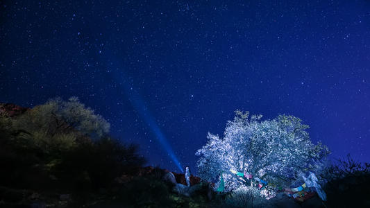 uc浏览器夜间模式怎么调成全黑[多图]