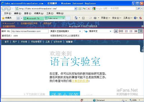 ie浏览器自动翻译网页设置方法[多图]