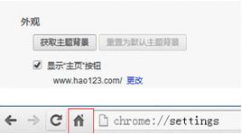 谷歌浏览器主页按钮在哪设置[多图]