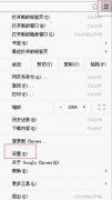 谷歌浏览器主页按钮在哪设置[多图]