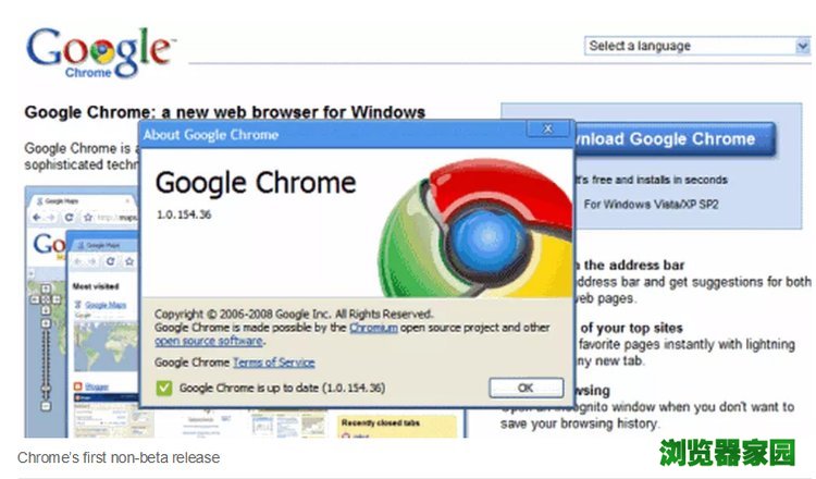 谷歌Chrome浏览器发布10年成霸主[图]