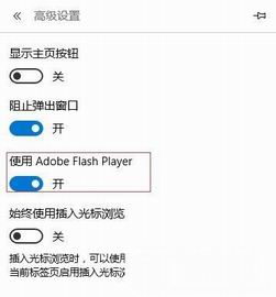 edge浏览器 flash开启了却不能播放怎么回事[多图]