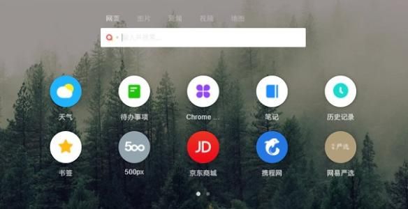 Google浏览器更新：79.0.3945.79绿色便携版[多图]