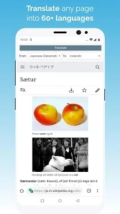 kiwi浏览器中文最新版