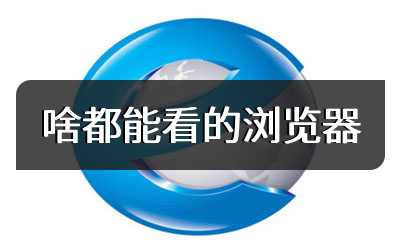 啥都能看的浏览器