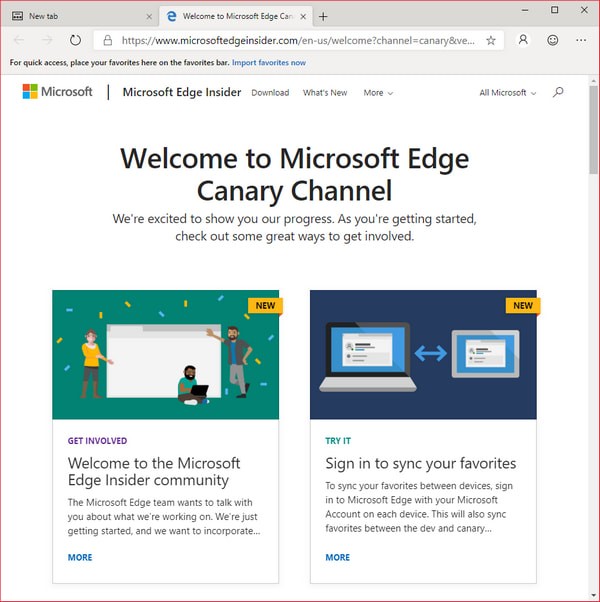 Microsoft Edge Canary(Chromium Edge金丝雀版)