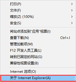 Internet Explorer(IE12)