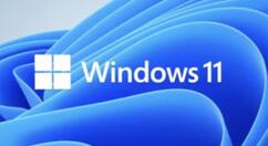 Win11系统edge浏览器怎么打不开?Win11系统edge浏览器打不开解决办法