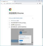 Chrome Canary