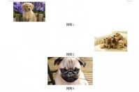 Word图片怎么批量居中 一个查找替换帮你忙