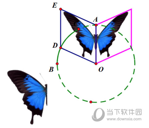 几何画板怎么制作蝴蝶动画 制作方法介绍