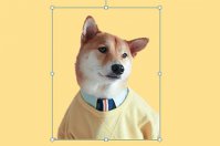 PPT叠影效果怎么制作 教你一招生成高大上封面