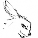 兔兔漫画