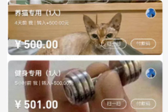 支付宝小荷包怎么踢出成员？支付宝小荷包怎么取消自动攒？