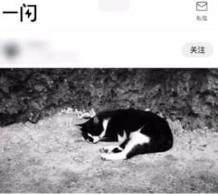 一闪app怎么调速度 一闪app如何给视频加速