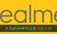 真我gtneoOTG设置方法介绍
