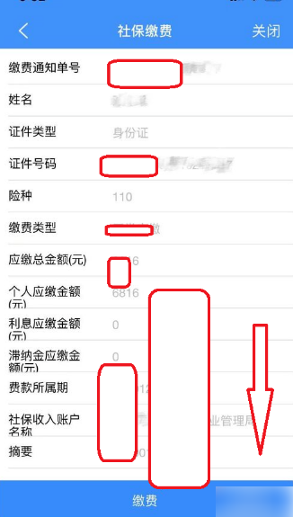 江西人社app怎么缴费 江西社保交费方法