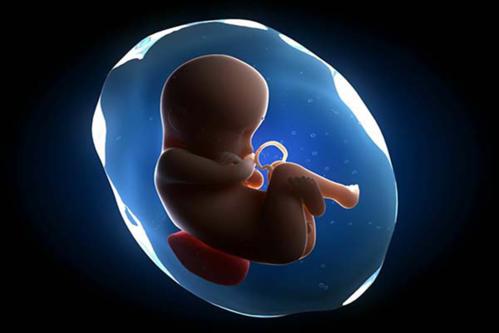 胎儿大脑未发育时不宜胎教