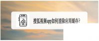 搜狐视频app如何清除应用缓存