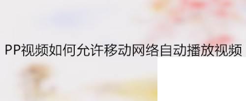 PP视频如何允许移动网络自动播放视频