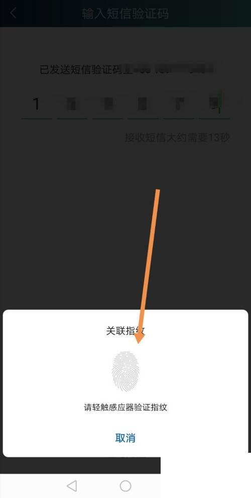 爱奇艺随刻版免费下载安装_爱奇艺怎样开启指纹登录