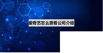 爱奇艺怎么查看公司介绍