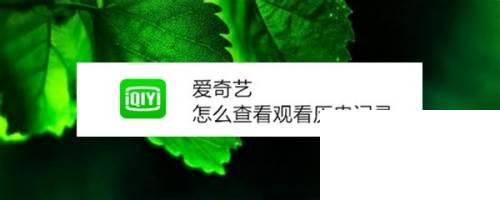 爱奇艺下载安装免费版_爱奇艺怎么查看观看历史记录