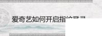爱奇艺下载安装直接下载_爱奇艺如何开启指纹登录