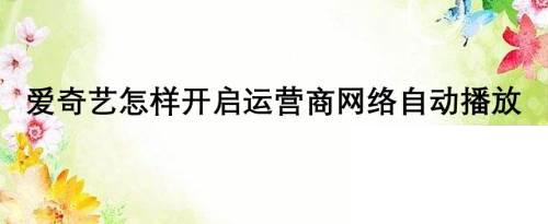 爱奇艺怎样开启运营商网络自动播放