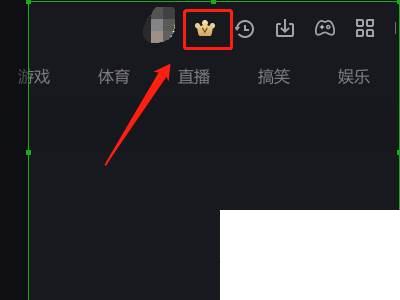 爱奇艺下载.手机免费安装_爱奇艺里面的开通VIP在哪儿