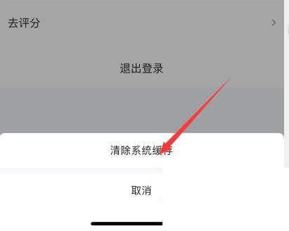 爱奇艺视频怎么清除缓存