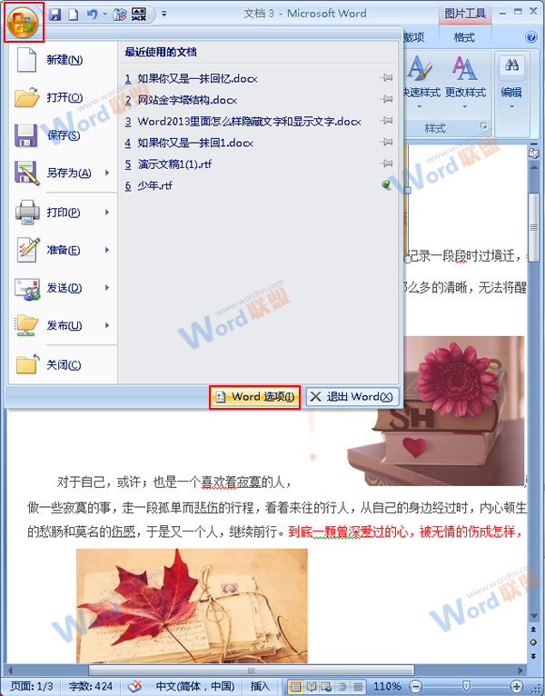 Word2007如何通过隐藏图片来提高浏览速度?