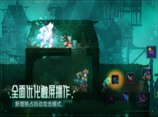 重生细胞自定义符文在哪里 重生细胞自定义符文获