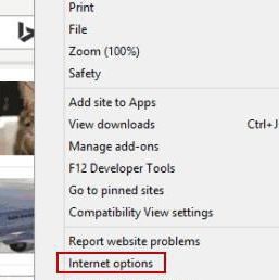 在Internet Explorer中清除Cookie和浏览记录[多图]