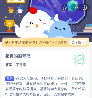 猪真的很笨吗 蚂蚁庄园今日答案