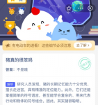 猪真的很笨吗 蚂蚁庄园今日答案