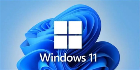 win11家庭版和专业版哪个好 win11家庭版和专业版对比