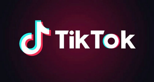 tiktok怎么在国内使用 tiktok在国内使用最简单方法