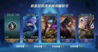 王者荣耀省级选手称号怎么获得 王者荣耀省级选手称号获得方法介绍