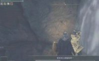 艾尔登法环牢狱洞窟怎么进 艾尔登法环牢狱洞窟进不去解决办法