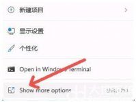 win11显示更多选项怎么设置 win11显示更多选项设置方法介绍