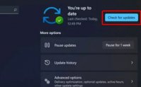windows11资源管理器闪退怎么办 windows11资源管理器闪退解决方法