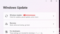 windows11网速慢怎么回事 windows11网速慢解决方法