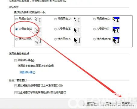 如何更改Windows 7中的鼠标指针颜色？  第1张