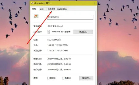 windows10怎么看图片属性 windows10图片属性查看方法