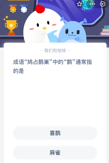 成语“鸠占鹊巢”中的“鹊”通常指的是？