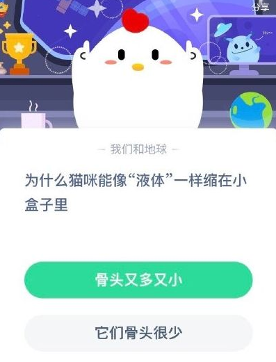 为什么猫咪能像液体一样缩在小盒子里 蚂蚁庄园答题攻略