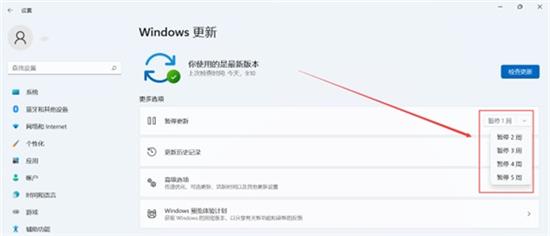 windows11怎么关闭自动更新 windows11关闭自动更新方法介绍