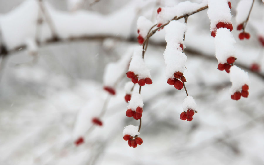 2017大雪节气朋友圈唯美图片 二十四节气唯美高清图片